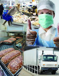 Buenas prácticas de manufactura y análisis de peligros y controles preventivos basado en riesgo para alimentos de consumo humano