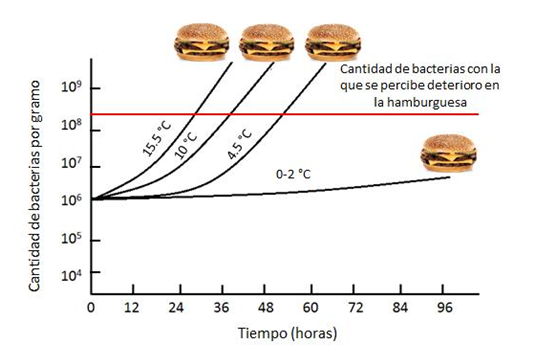 Lavado_del_area