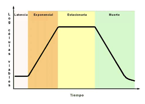 diagrama-ciclo
