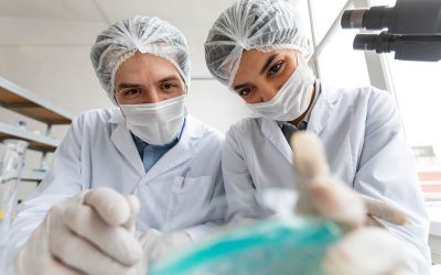 7 de junio. Día Mundial de la Inocuidad de los alimentos