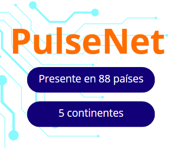 Captura de pantalla 2025-06-02 124558
