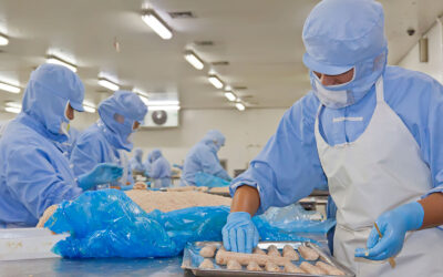 5 de los principales patógenos transmitidos por alimentos.