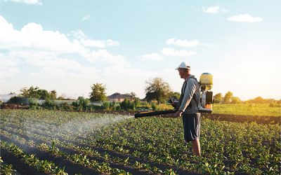 Uso de plaguicidas en la producción de alimentos