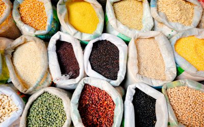 Consideraciones de inocuidad en establecimientos que manejan productos de baja humedad