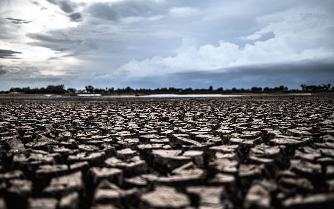 El cambio climático y la inocuidad de alimentos